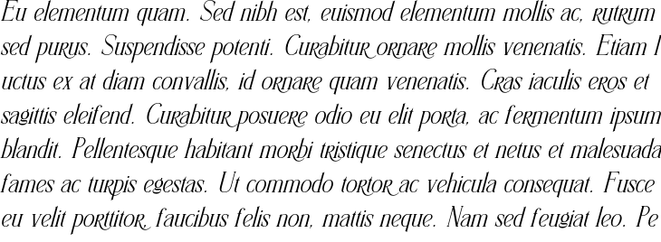 `Amelayona Italic` Preview