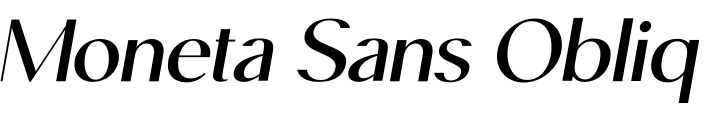 `Moneta Sans Oblique Bold` Preview