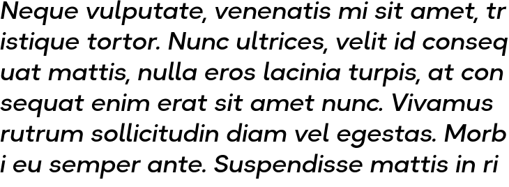 `Okta Neue Medium Italic` Preview