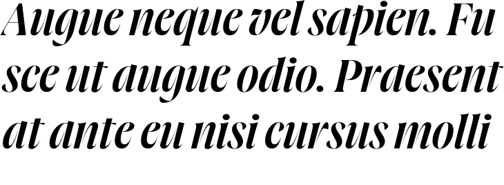 `Joane Pro XL Semi Bold italic` Preview