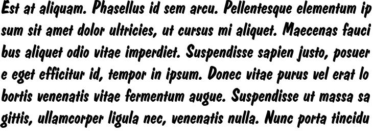 `Dom Casual D Bold Italic` Preview