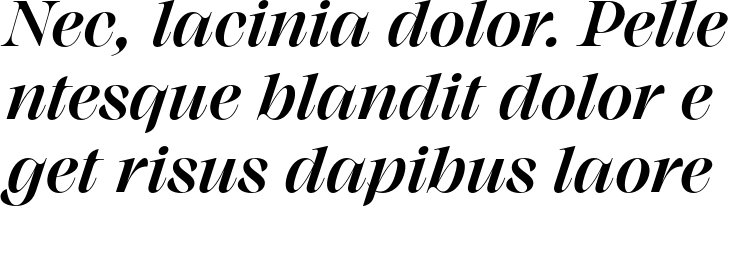 `Monarque Bold Italic` Preview