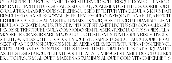 `Blank Space Serif Regular` Preview