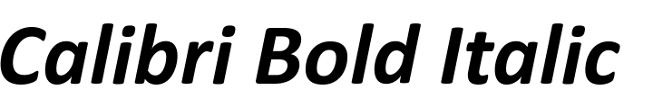 `Calibri Bold Italic` Preview