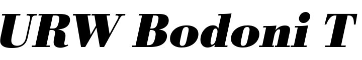 `URW Bodoni T Bold Oblique` Preview