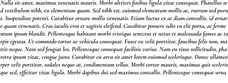 `Cormorant Garamond Bold Italic` Preview