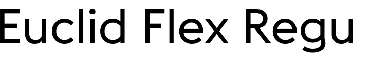 `Euclid Flex Regular` Preview