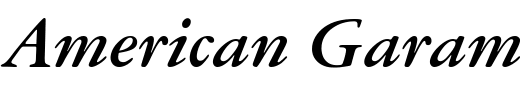 `American Garamond Bold Italic` Preview