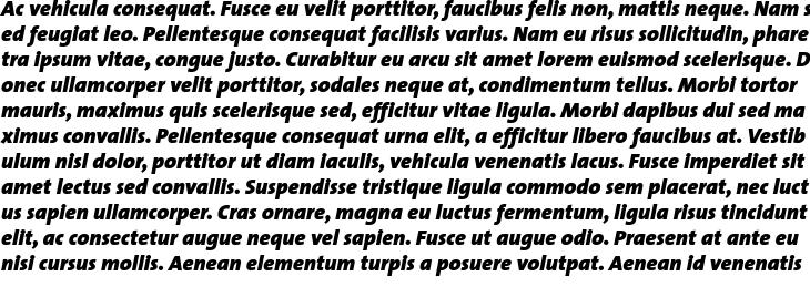 `TheSans 9 Black Italic` Preview