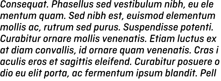 `Ciutadella Rounded Medium Italic` Preview