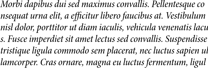 `Minion Pro SubHead Condensed Medium Italic` Preview