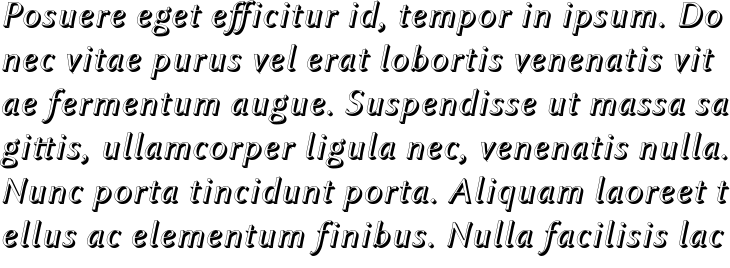 `Linux Biolinum Shadow Italic` Preview