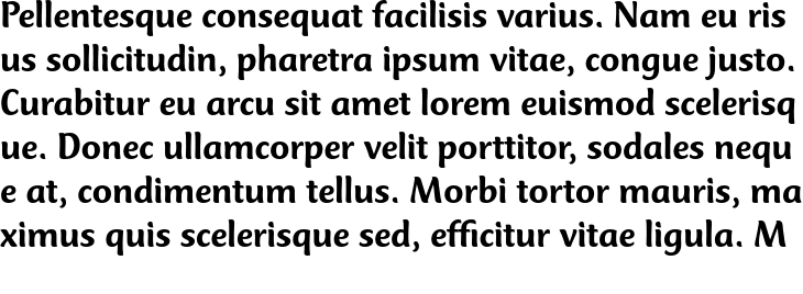 `CT Mercurius Std Medium` Preview