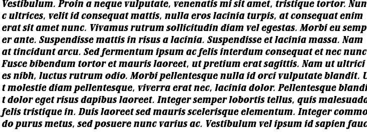 `Stirling RR ExtraBold Italic` Preview