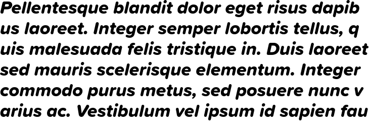 `Proxima Soft Extra Bold Italic` Preview
