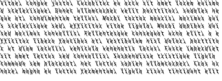 `BPtypewrite Slashed Italic` Preview