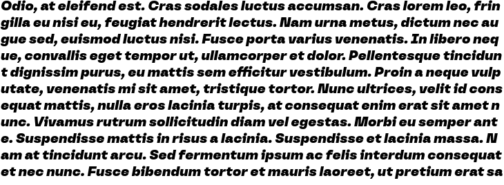 `Versos Test Black Italic` Preview