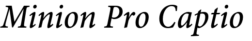 `Minion Pro Caption Condensed Medium Italic` Preview