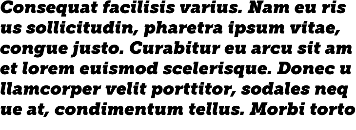 `Museo Slab 1000 Italic` Preview
