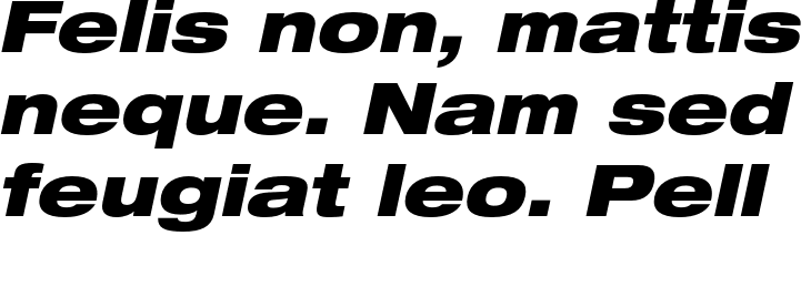 `Helvetica Neue LT Std 93 Black Extended Oblique` Preview