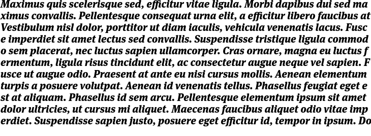 `Meta Serif Pro Black Italic` Preview