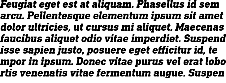 `DIN Next Slab Pro Heavy Italic` Preview