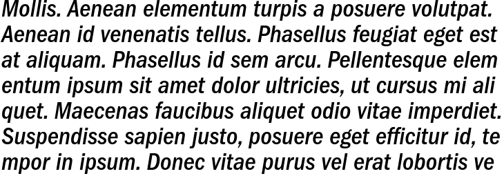 `ITC Franklin Gothic Medium Condensed Italic` Preview