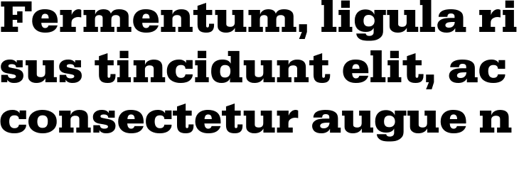 `URW Egyptienne Bold ExtraWide` Preview