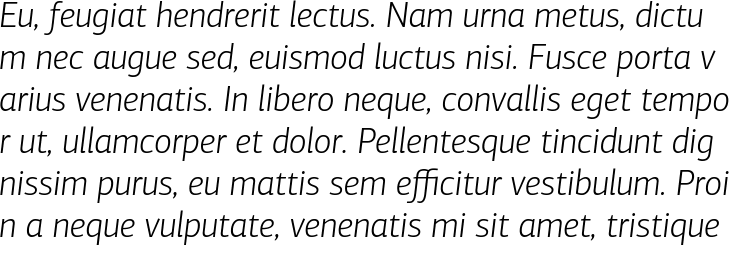 `PF Agora Sans Pro Light Italic` Preview