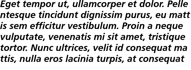 `Frutiger 45 Light Bold Italic` Preview