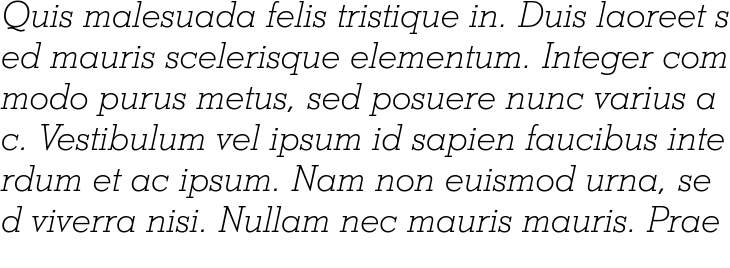 `Stymie Light Italic` Preview