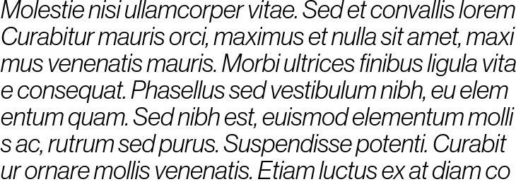 `Neue Haas Display Light Italic` Preview