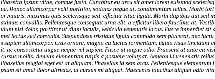 `Meta Serif Pro Medium Italic` Preview