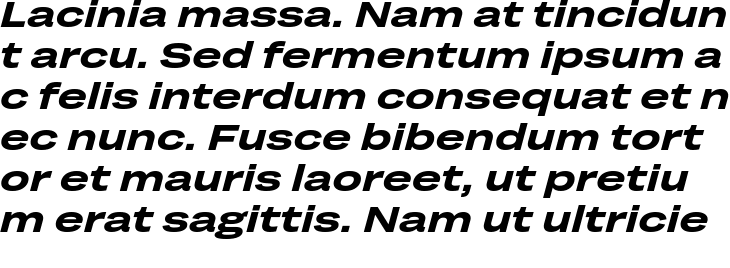 `Grtsk Tera Bold Italic` Preview