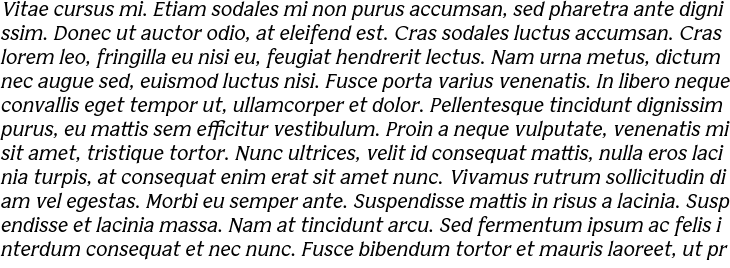 `Bianco Serif Italic` Preview
