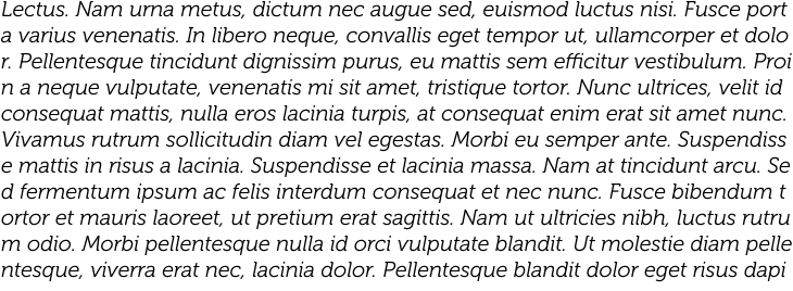 `Museo 300 Italic` Preview