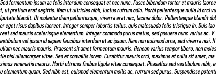 `Octanis SansRounded Italic` Preview