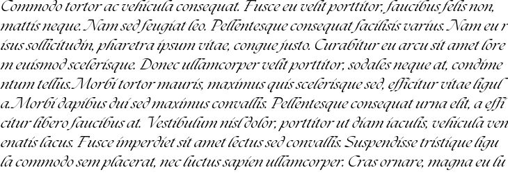 `The Seasons Italic` Preview