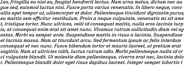 `Antonym Medium Italic` Preview