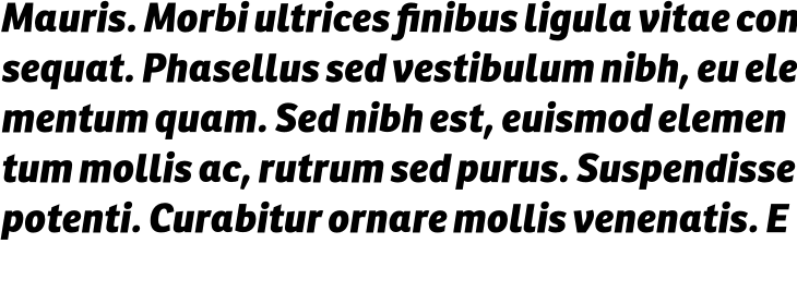 `Ronnia Basic ExtraBold Italic` Preview
