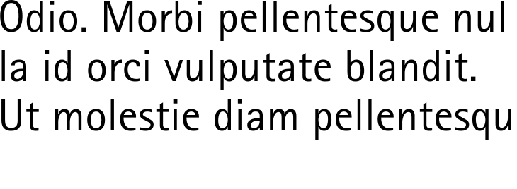 `Rotis Sans Serif Pro 55 Roman` Preview