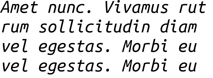 `Ubuntu Mono Italic` Preview