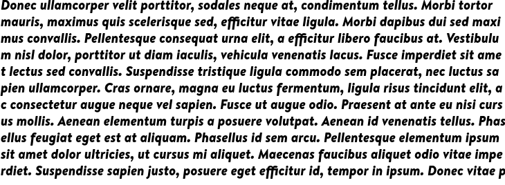 `Brandon Text Black Italic` Preview