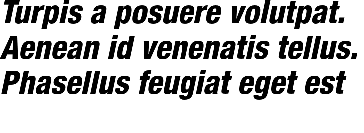 `Helvetica Neue LT Std 87 Heavy Condensed Oblique` Preview