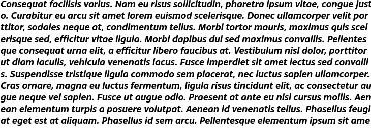 `Monsal Gothic Bold Italic` Preview