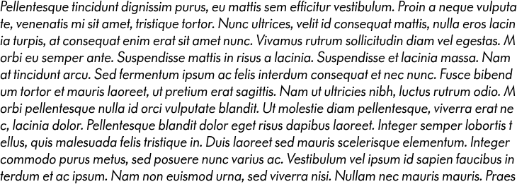 `Paneuropa Retro Regular Italic` Preview