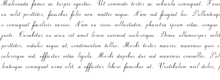 `BV Rondes Ital Italic` Preview