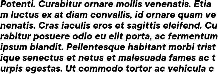 `TT Commons Bold Italic` Preview
