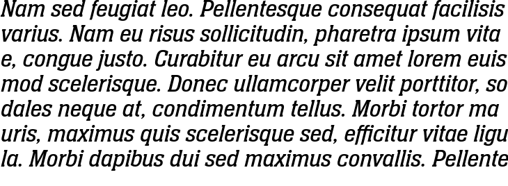 `Neue Aachen Pro Book Italic` Preview