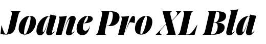 `Joane Pro XL Black Italic` Preview
